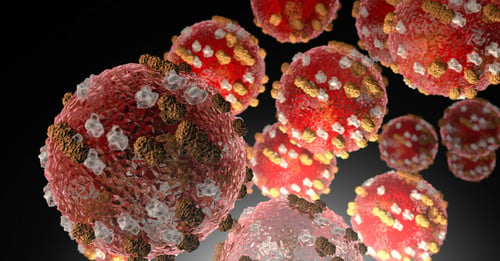 Featured Story Image